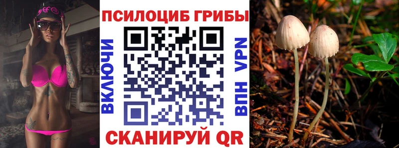 omg ТОР  продажа наркотиков  Харовск  Галлюциногенные грибы Cubensis 